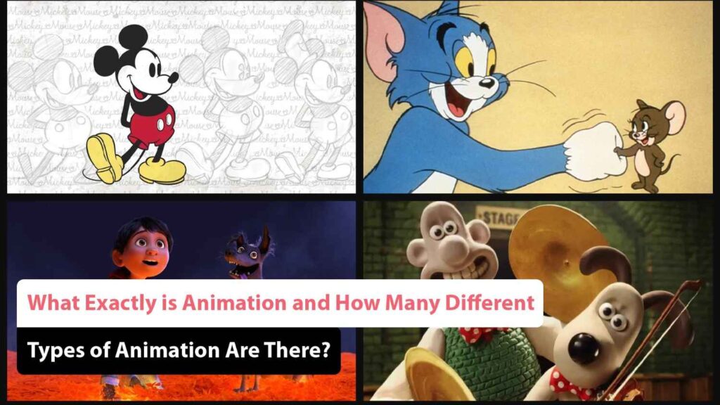 Different Types of Animation
