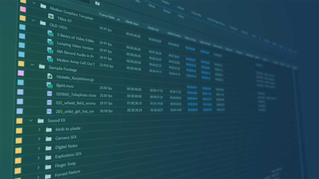 Video Editing Process - Logging
